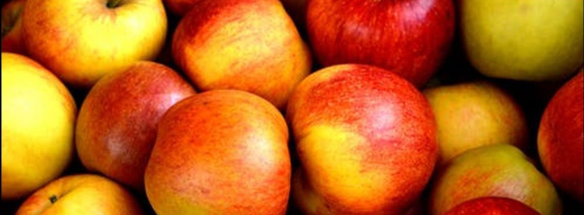 apfel quer 1200